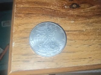 Circulated fine silver 1$ coin