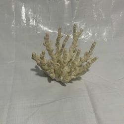 Decorative coral