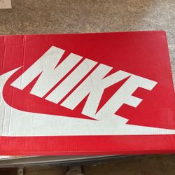 Nike Dunks USC