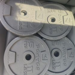  Weights 1" Bar-hole, 5 Kg / 11 lbs.