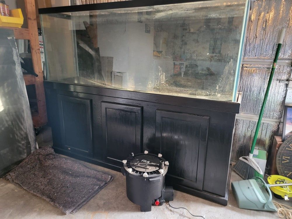Fish Tank With Brand New FX4 Pump