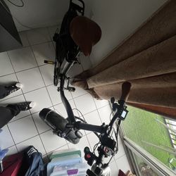 Electric Bike