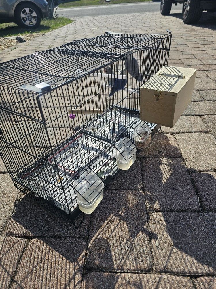 Love Bird Cage