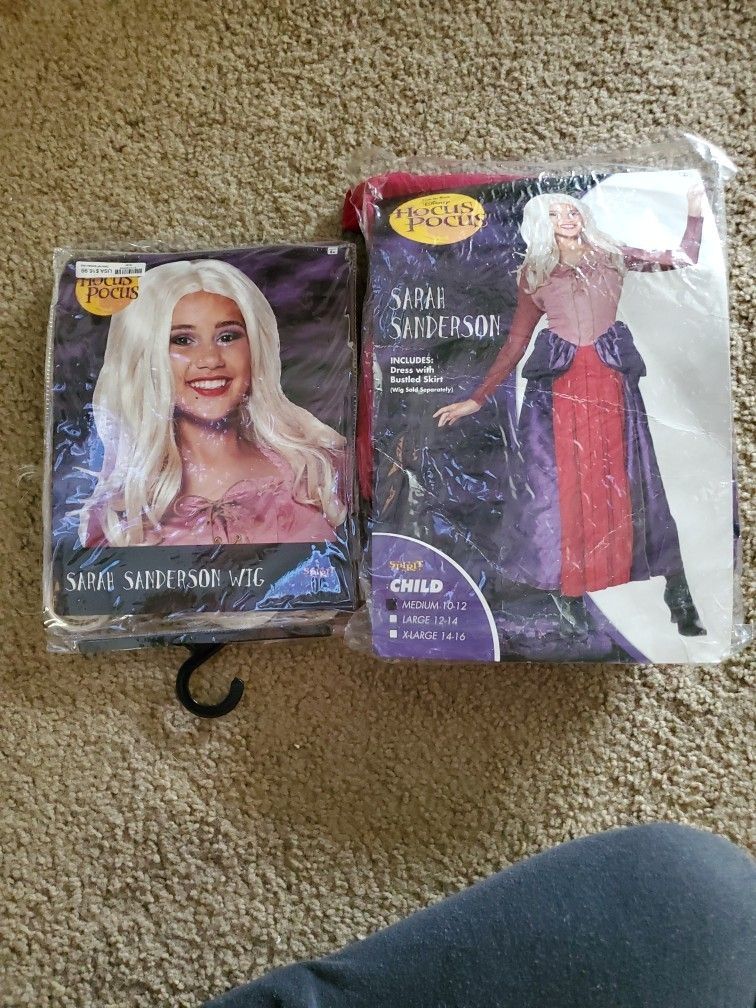Hocus Pocus Sarah Costume