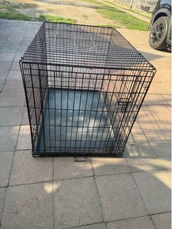 Large dog cage