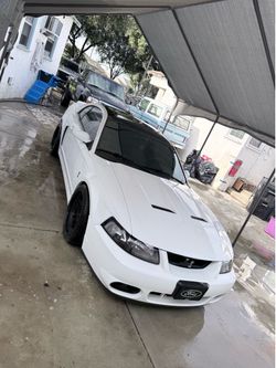 2004 Ford Mustang