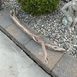 Driftwood 