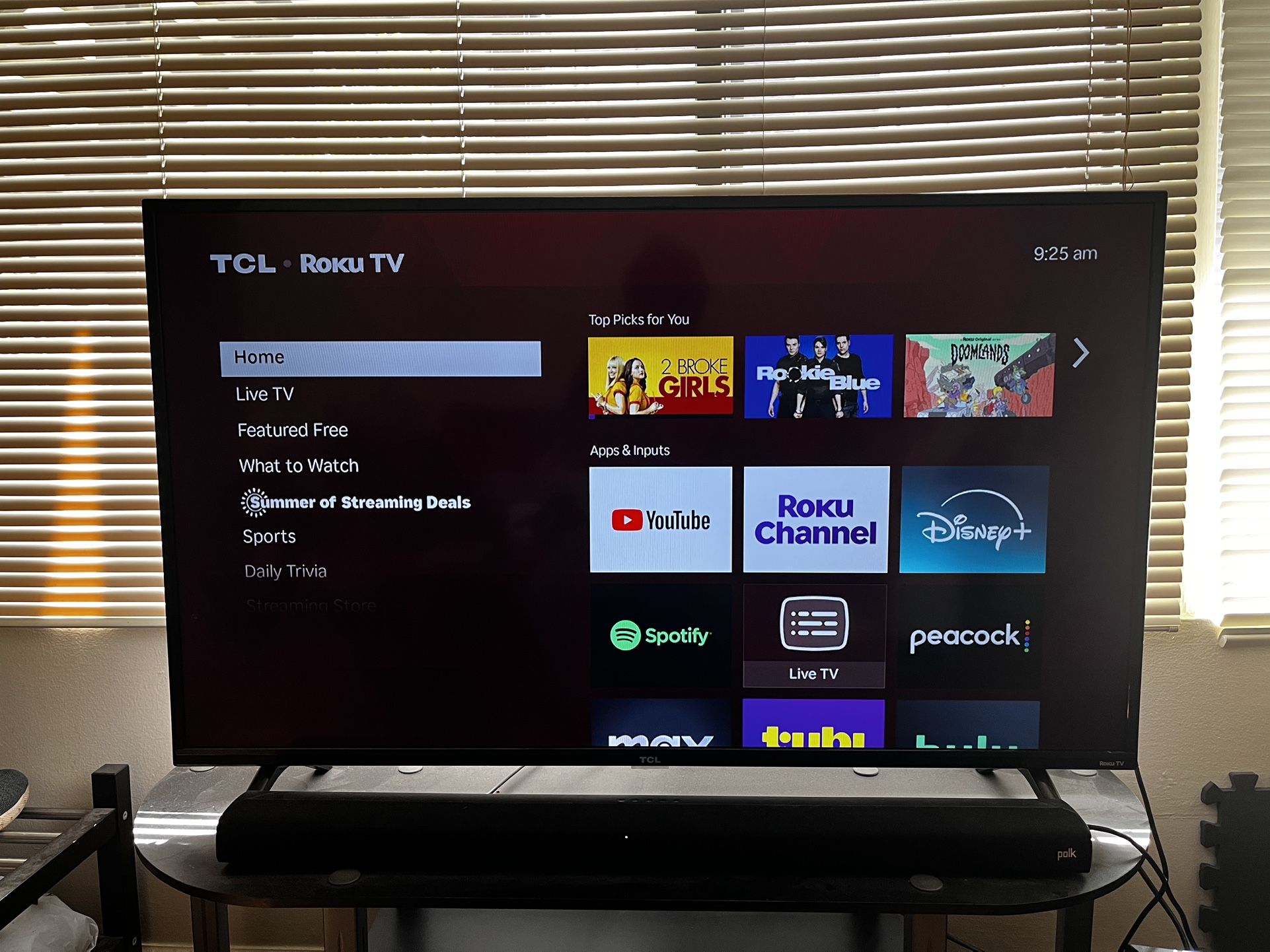 49” TV (TCL Roku Smart TV, Model 49S325)