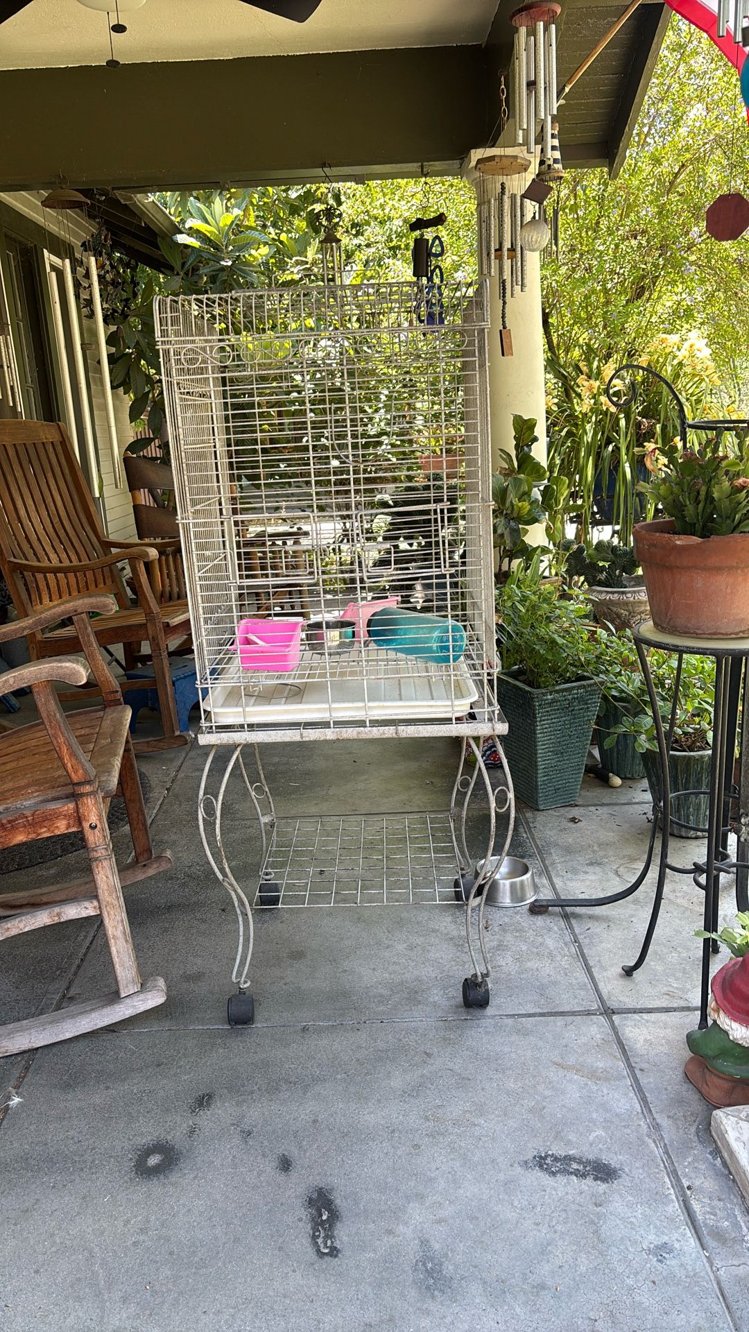 Bird Cage