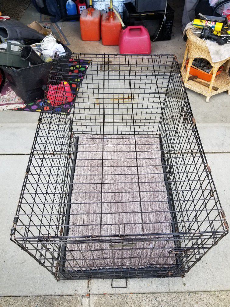 Big Dog Cage 