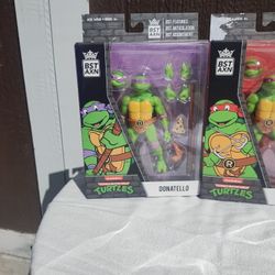 Ninja Turtle