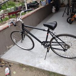 Schwinn Bike