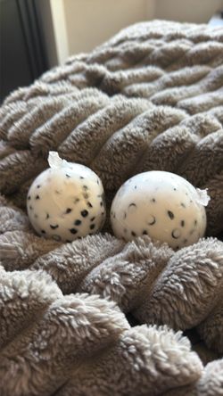handmade oreo bead and clay squishys