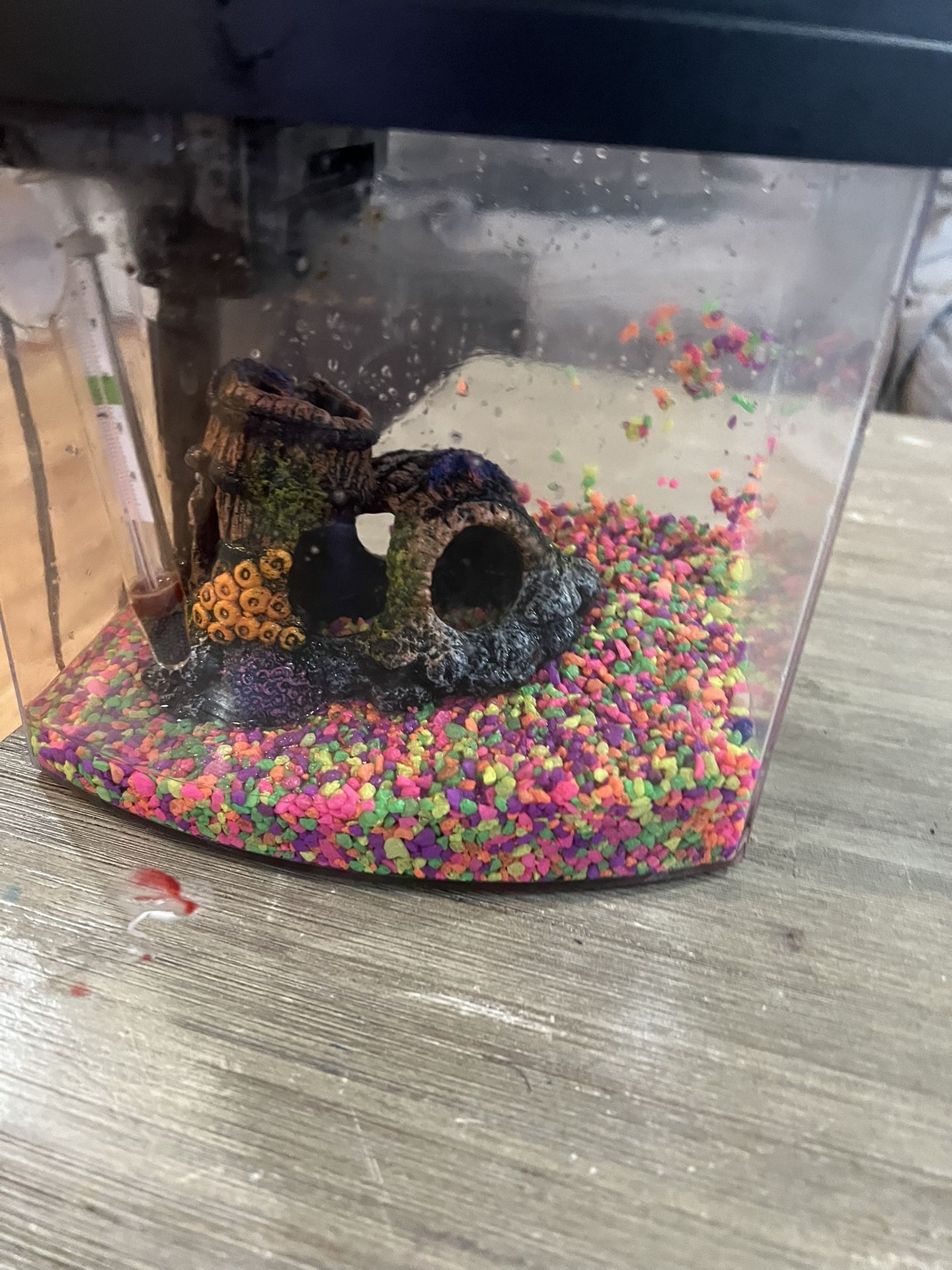 Aqueon BettaBow 1 Aquarium Kit