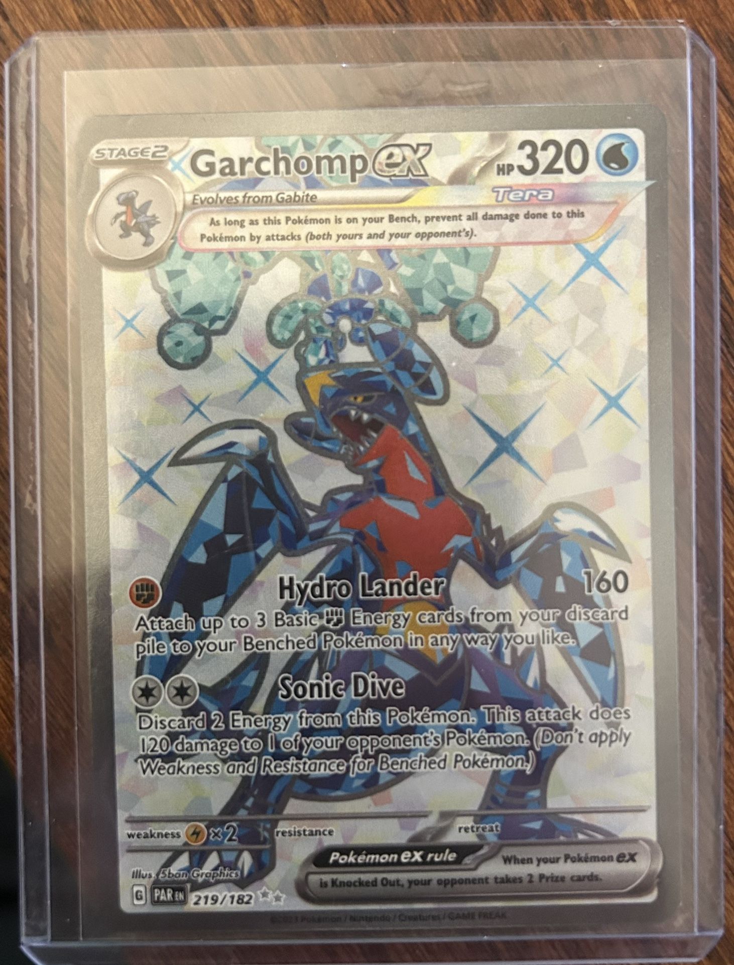 Garchomp ex