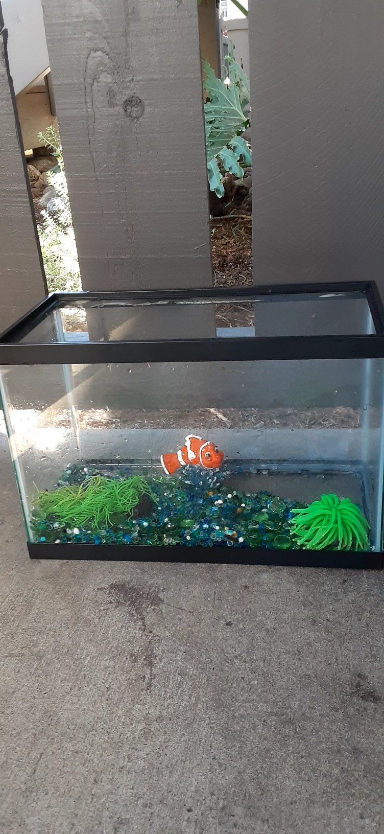 Fish Tank $10