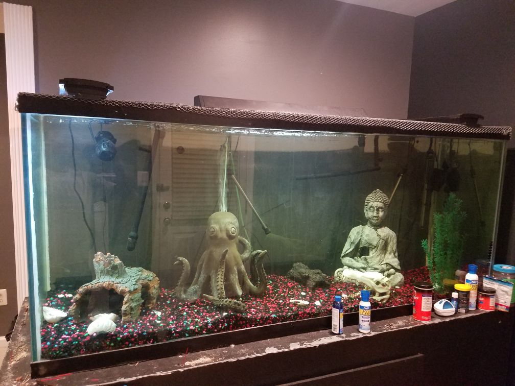 300 gallon fish tank for sell 600.00 with heaters filters needs nothing fresh water will deliver