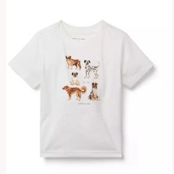 Boy’s t-shirt