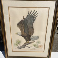 30x24”  VINTAGE ALBERT EARLE GILBERT AMERICAN BALD EAGLE Framed Picture - Compare @ $200+