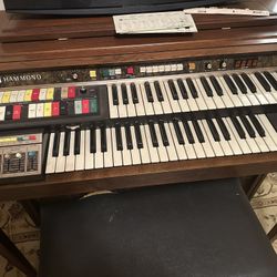 Electric Organ 