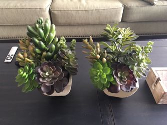 Two artificial flowers $10/each