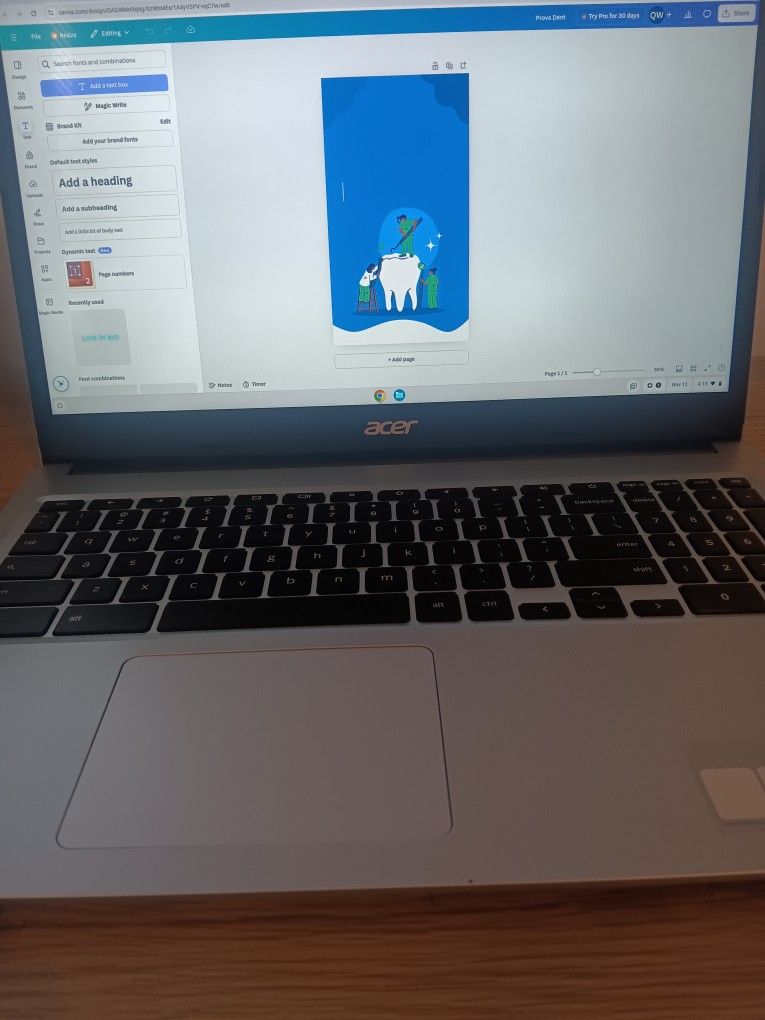 Acer Chromebook 315