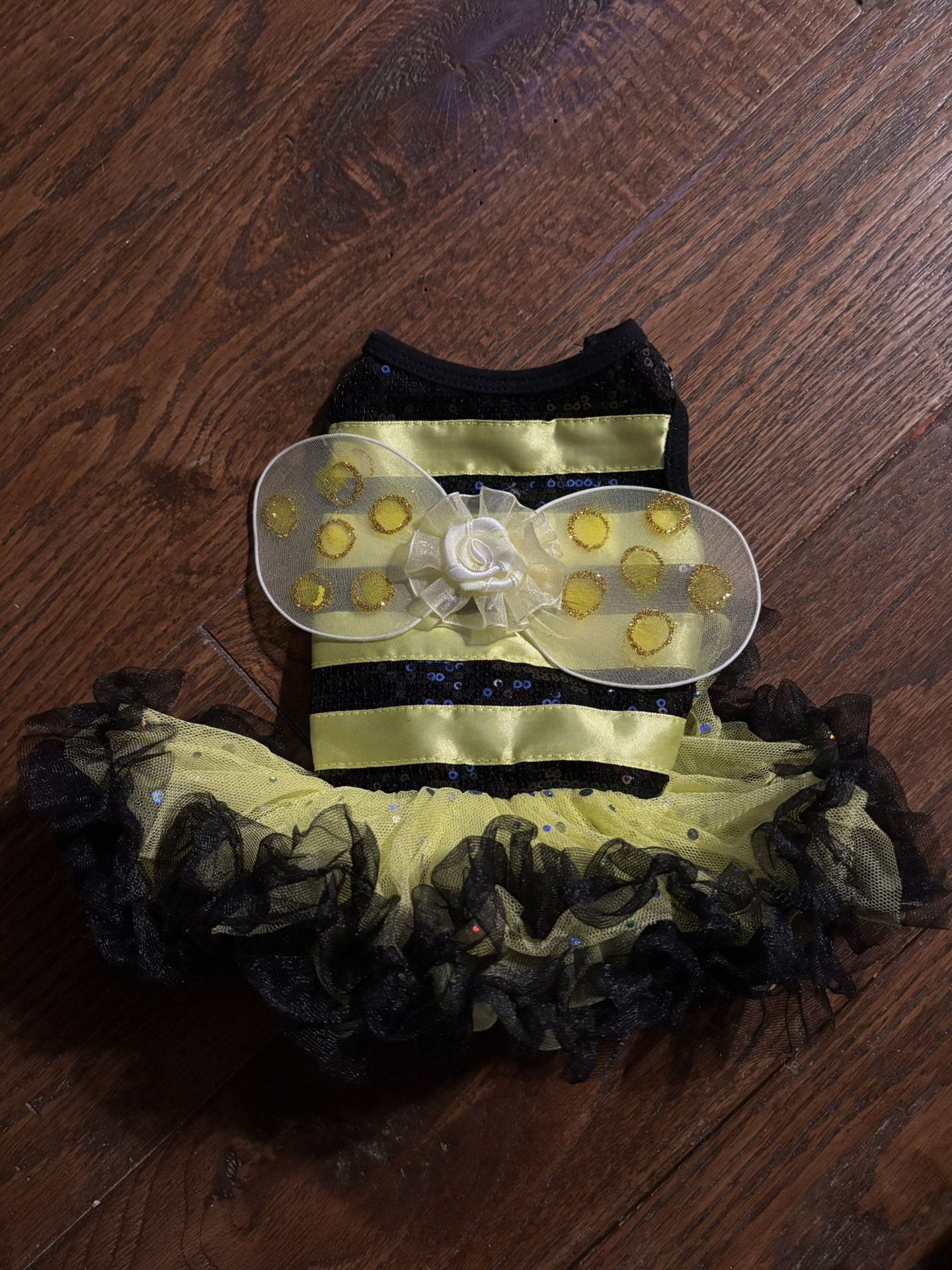 Dog/Cat Bee π Costume