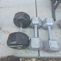 Weights   and weslo Cycle