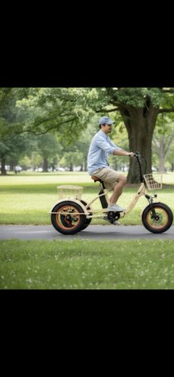Easy Transit 750W E-trike