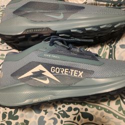 NIKE Pegasus Trail 5 GORE-TEX FQ0908-005 Smoky Blue Light Silver Armory Navy