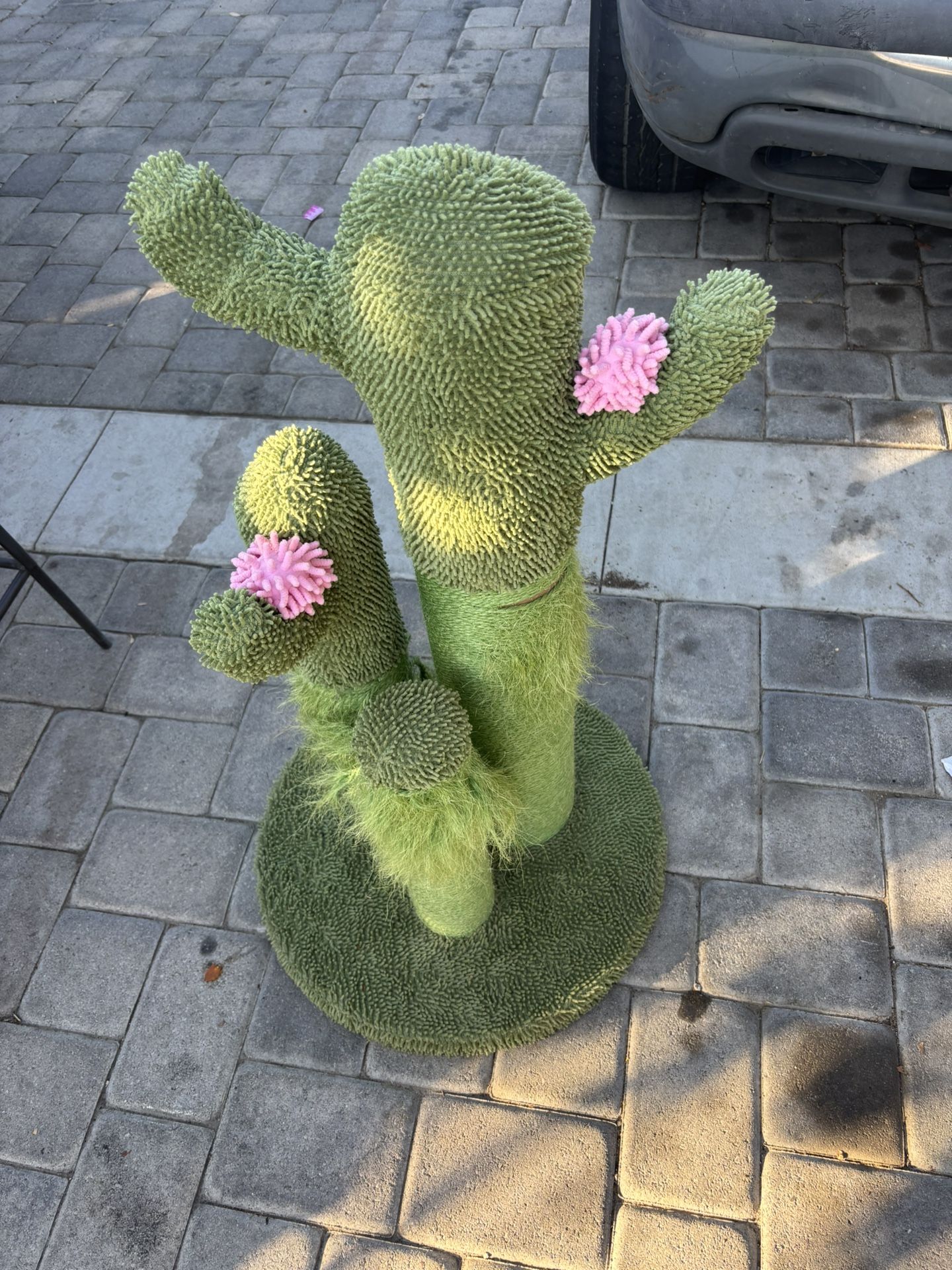 Cactus Cat Scratcher