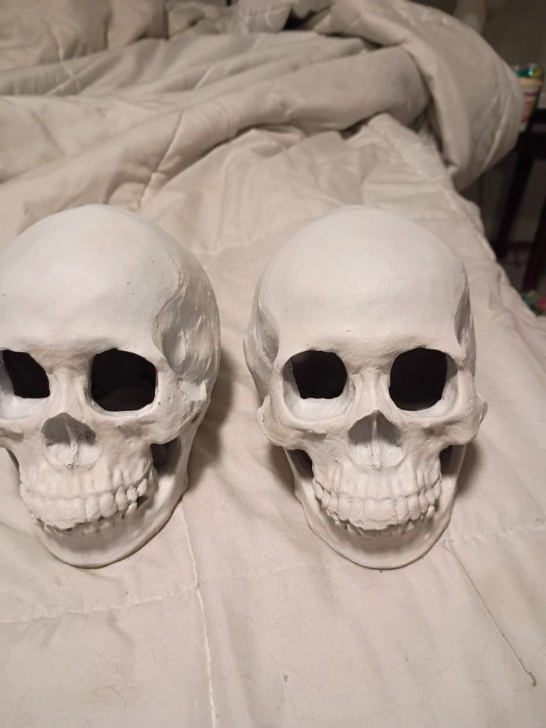 Fish Aquarium Decorations