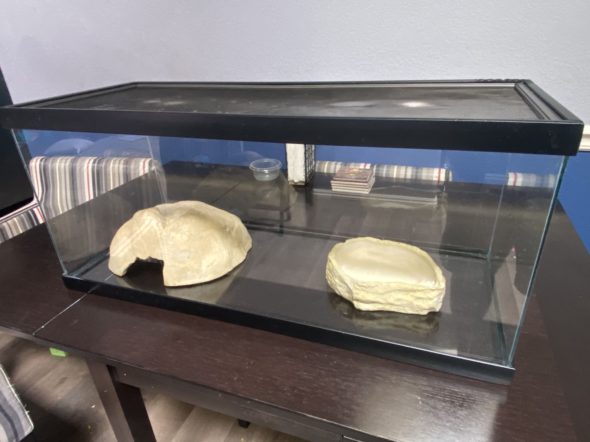 Terrarium with Hide, Water Dish and Heat Lamp