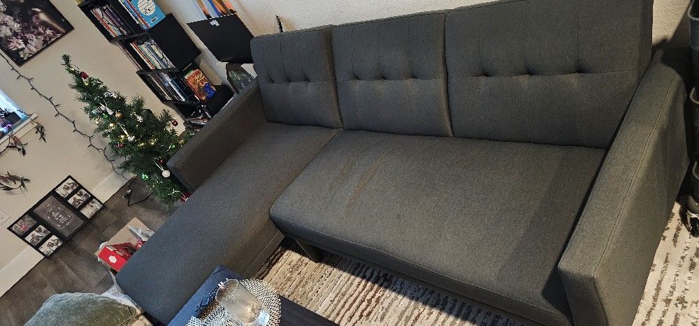 Living Room Couch (Reversible Sleeper Sofa & Chaise)