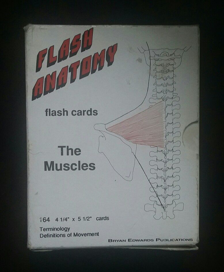 Flash Anatomy Cards - The Muscles