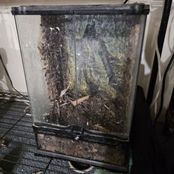 Front Opening Tank 10 Gallon