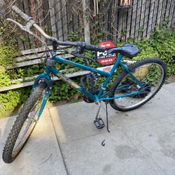 Mountain Bike 