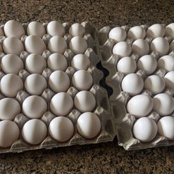 Pasture Free Eggs