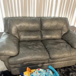 Gray Couches