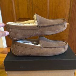 Brand New Chesnut Ugg Ascot Size 10