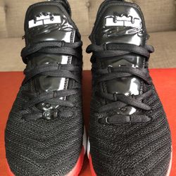 Nike Lebron 16 GS BRED