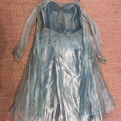 Disney Princess Elsa Costume