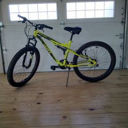 Adult Mountain Bike