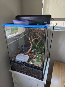 Exo Terra 18x18x24 Fully Loaded