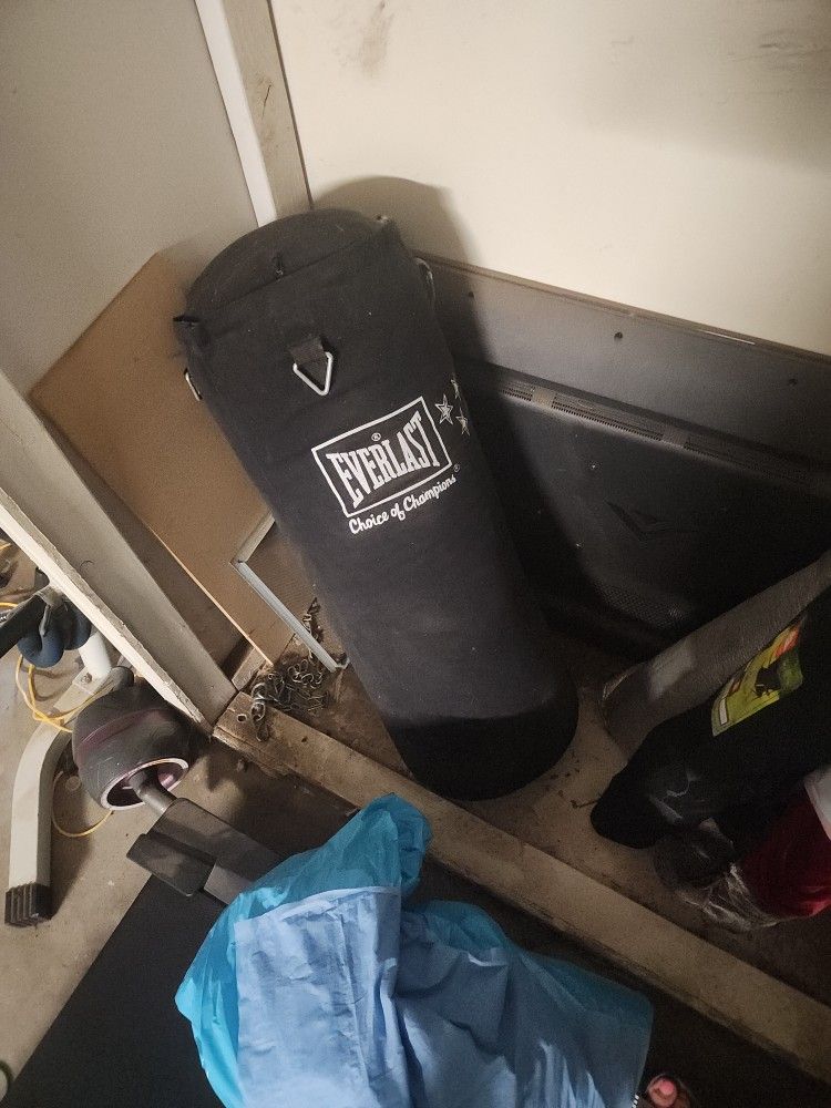 Everlast Punching Bag