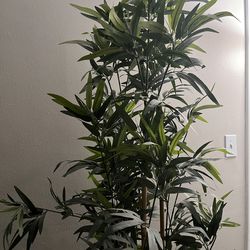 IKEA Artificial Bamboo in White Pot