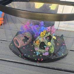 Fish Tank 
