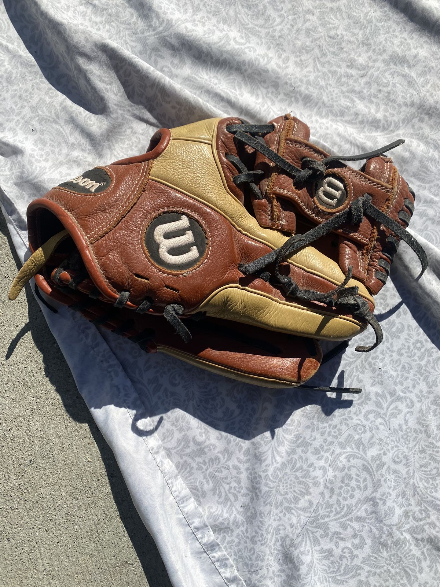 Baseball Glove