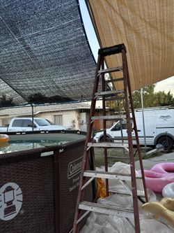 Werner Ladder 8ft
