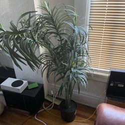 Fake Plant 5 Foot